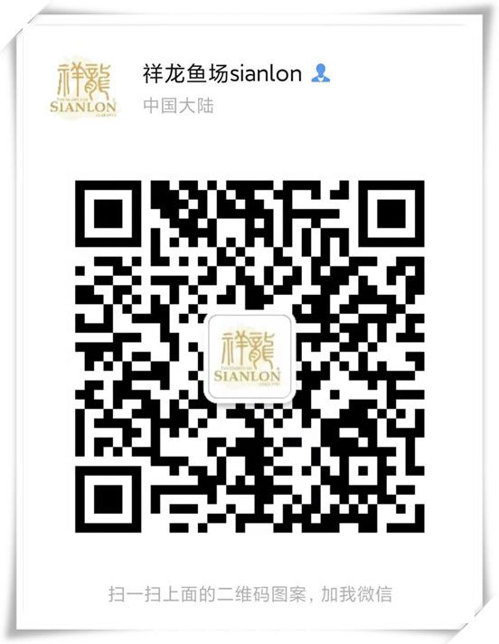 迷你異型缸——玩轉底濾出貨:福建