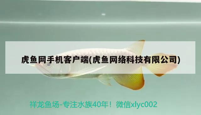 虎魚網(wǎng)手機客戶端(虎魚網(wǎng)絡(luò)科技有限公司) 虎魚網(wǎng)手機客戶端(虎魚網(wǎng)絡(luò)科技有限公司) 虎魚百科