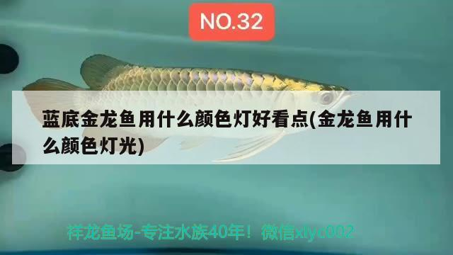 沈陽二手魚缸直賣網站電話（沈陽定制魚缸廠家都有哪些）
