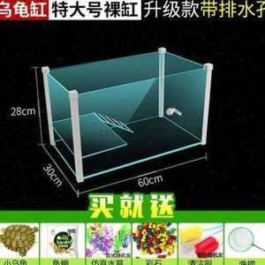 不用打理的魚(yú)缸有哪些：不用打理的魚(yú)缸有多種選擇