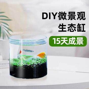 不用打理的魚(yú)缸有哪些：不用打理的魚(yú)缸有多種選擇