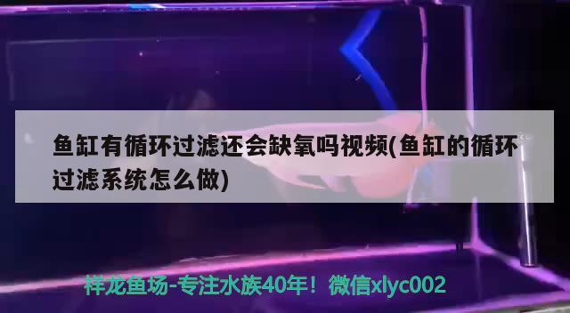 魚缸有循環過濾還會缺氧嗎視頻(魚缸的循環過濾系統怎么做)