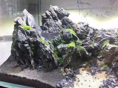 大魚缸石頭造景群游：大魚缸石頭造景的種類和特點