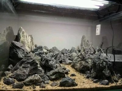大魚缸石頭造景群游：大魚缸石頭造景的種類和特點