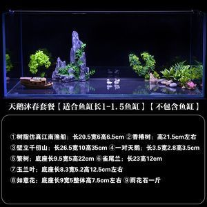 大魚缸適合造景嗎：魚缸造景的發(fā)展歷程魚缸造景的發(fā)展歷程魚缸造景技巧