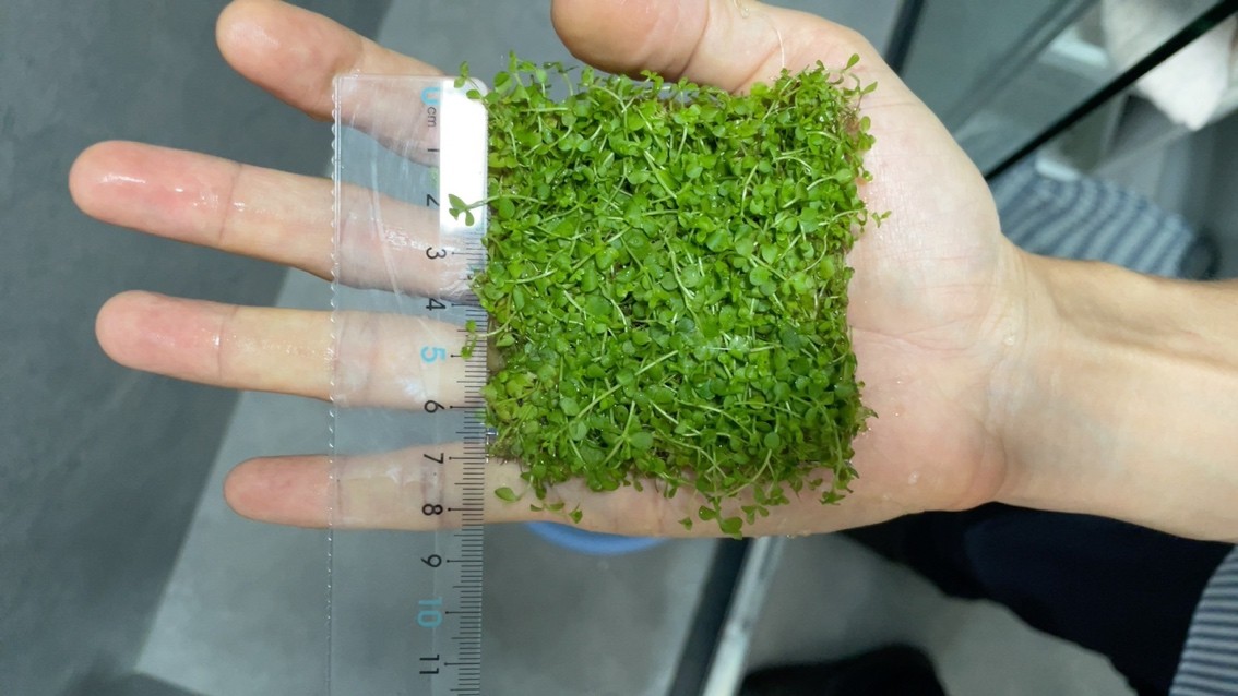 soye魚缸官網：soye/索一品牌的魚缸品牌soye/索一品牌