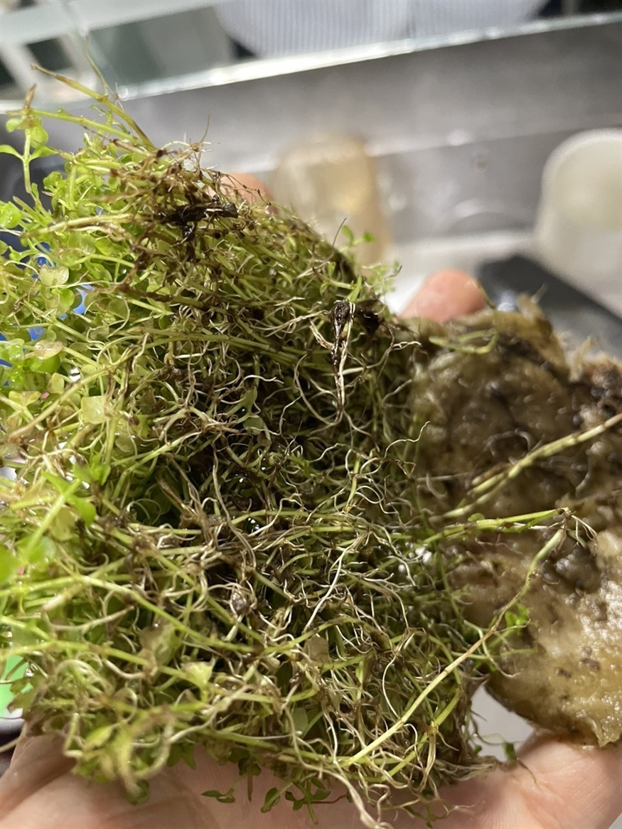 soye魚缸官網：soye/索一品牌的魚缸品牌soye/索一品牌
