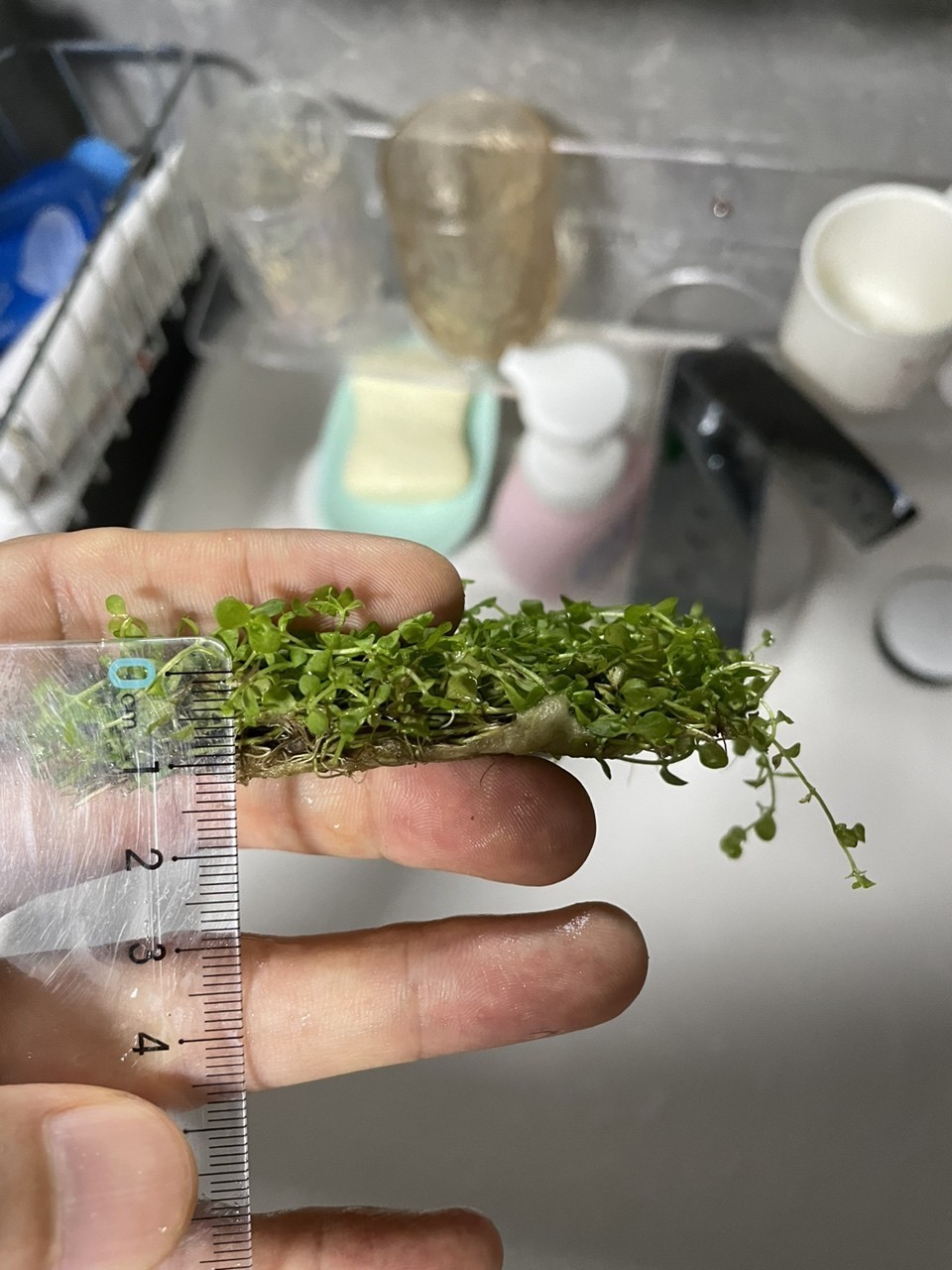 soye魚缸官網：soye/索一品牌的魚缸品牌soye/索一品牌