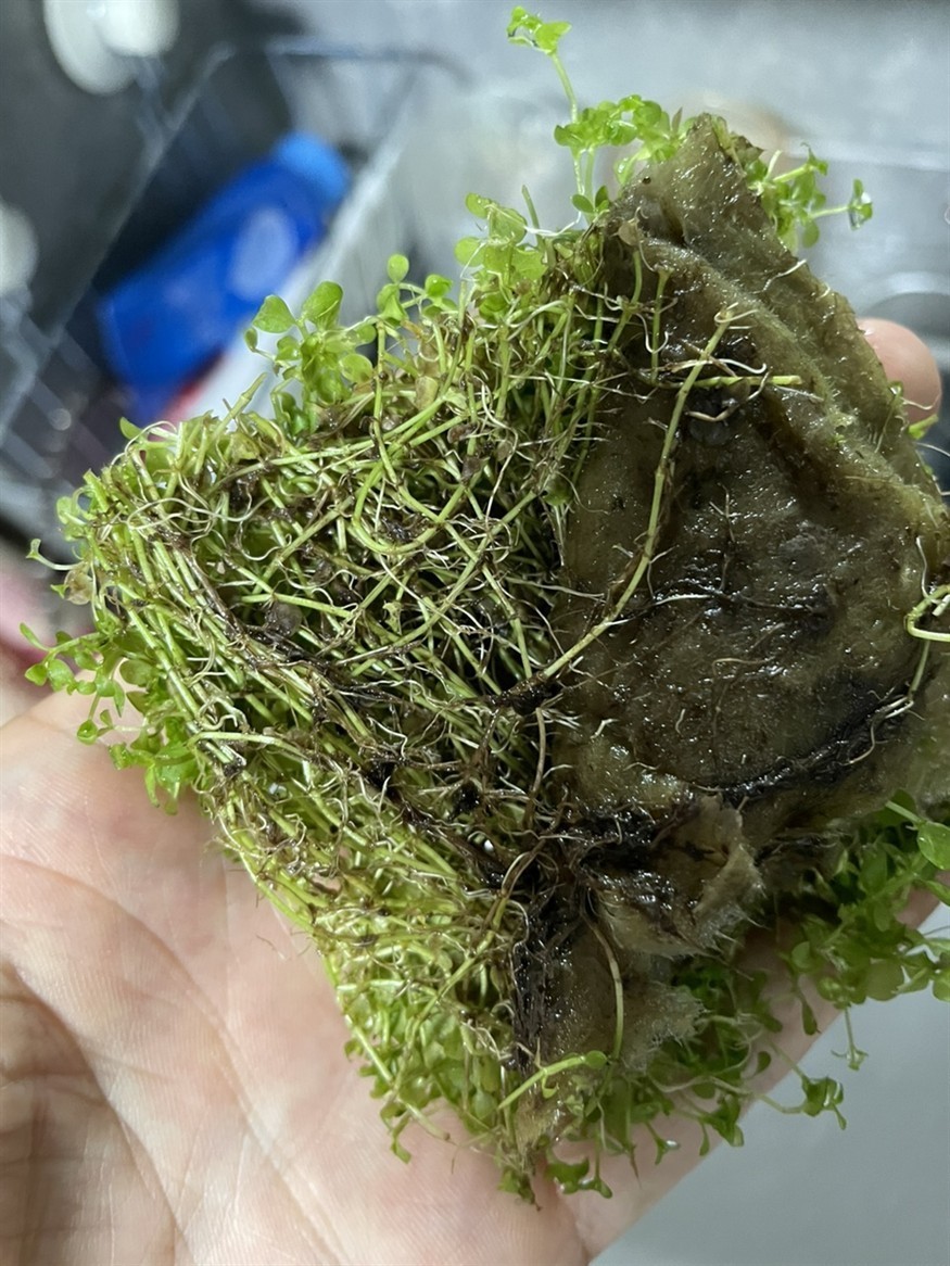 soye魚缸官網：soye/索一品牌的魚缸品牌soye/索一品牌