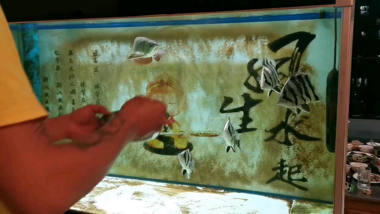 又掉鱗