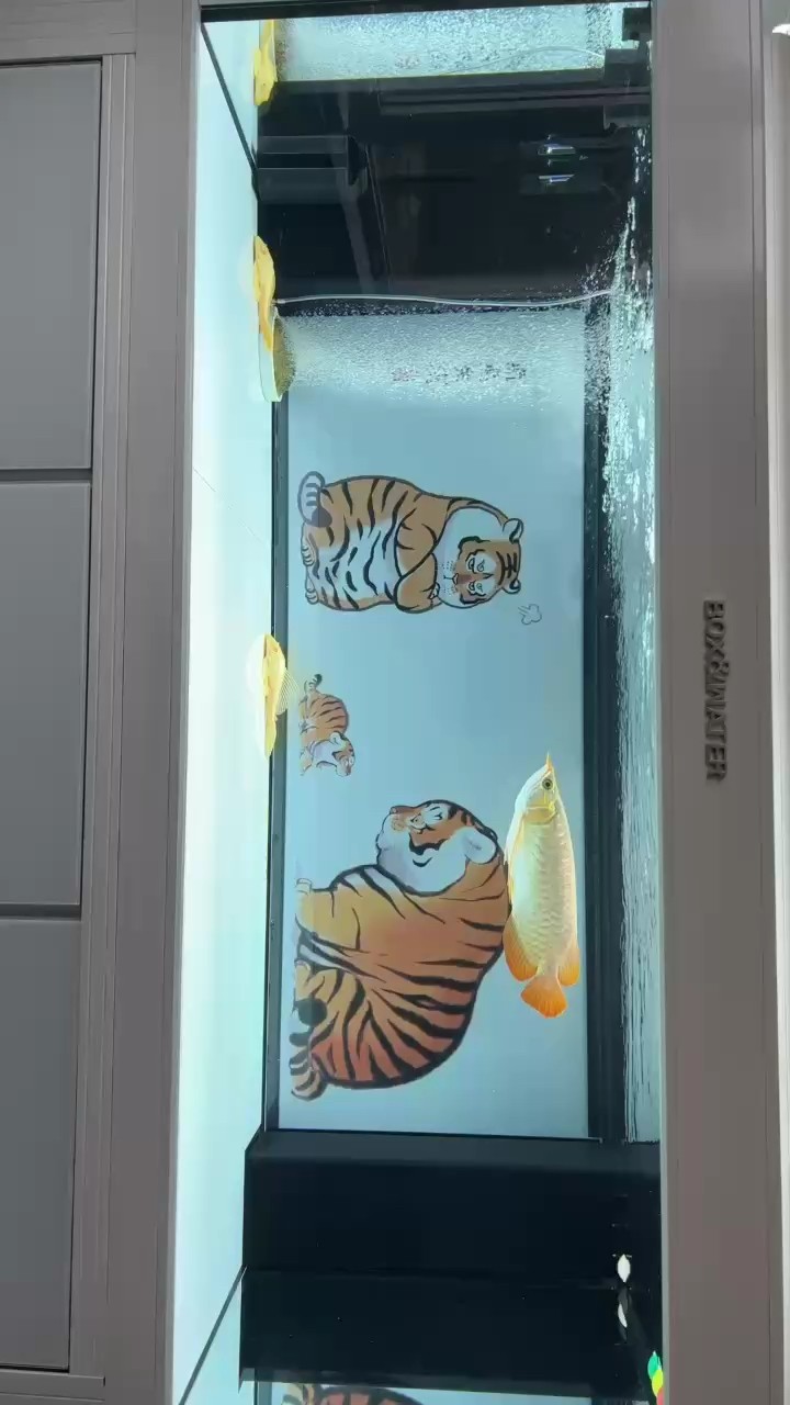 咋能翻轉過來