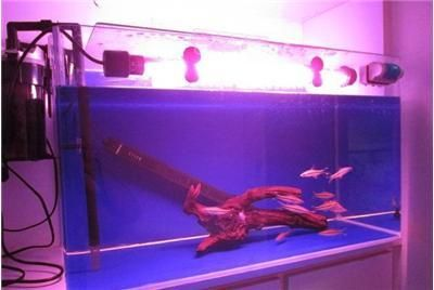 超白魚缸劃痕和裂紋怎么處理：如何處理超白魚缸的劃痕和裂紋