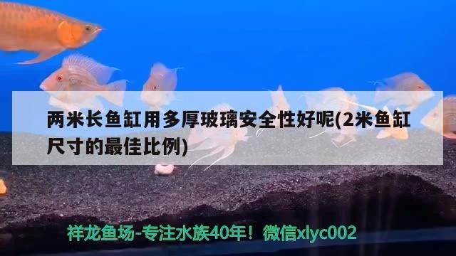 兩米長(zhǎng)魚缸用多厚玻璃安全性好呢(2米魚缸尺寸的最佳比例)