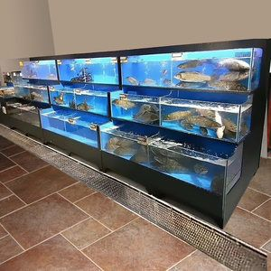 寶鉆魚缸怎么那么貴：為什么寶鉆魚缸的價(jià)格較高？