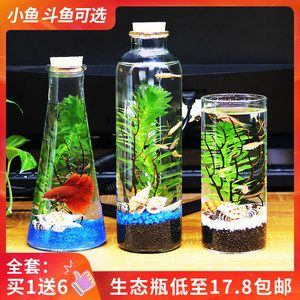斗魚缸造景大賽：關于斗魚缸造景大賽的問題