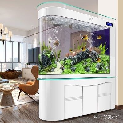 森森和德克哪一個魚缸好？：德克魚缸和森森魚缸哪個更適合他們森森和德克魚缸