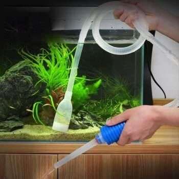 大魚缸魚糞便怎么處理干凈：處理大魚缸中的魚缸糞便的方法清理魚缸中的糞便的方法 大魚缸魚糞便怎么處理干凈：處理大魚缸中的魚缸糞便的方法清理魚缸中的糞便的方法 魚缸百科 第1張