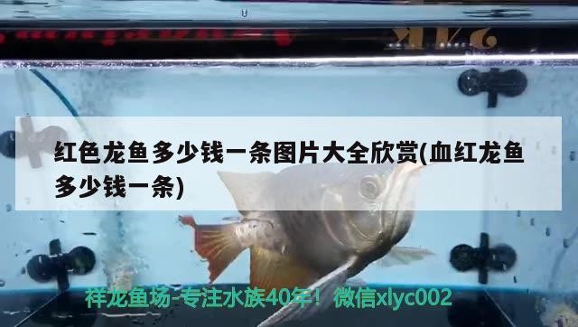 新余魚缸漏水維修店在哪里有(新余魚缸漏水維修店在哪里有啊)