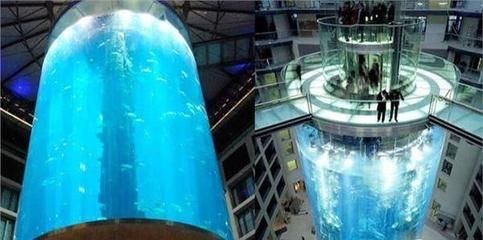 玻璃做魚(yú)缸最大：玻璃魚(yú)缸大小