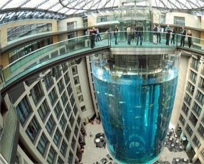 玻璃做魚(yú)缸最大：玻璃魚(yú)缸大小