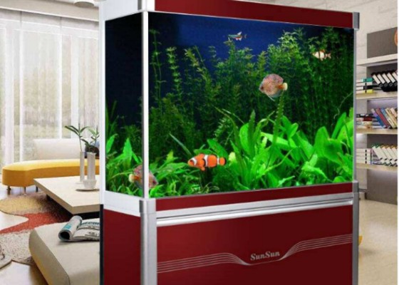 海寧市海洲街道深藍(lán)水族店（海寧市海洲街道深藍(lán)水族店電話）