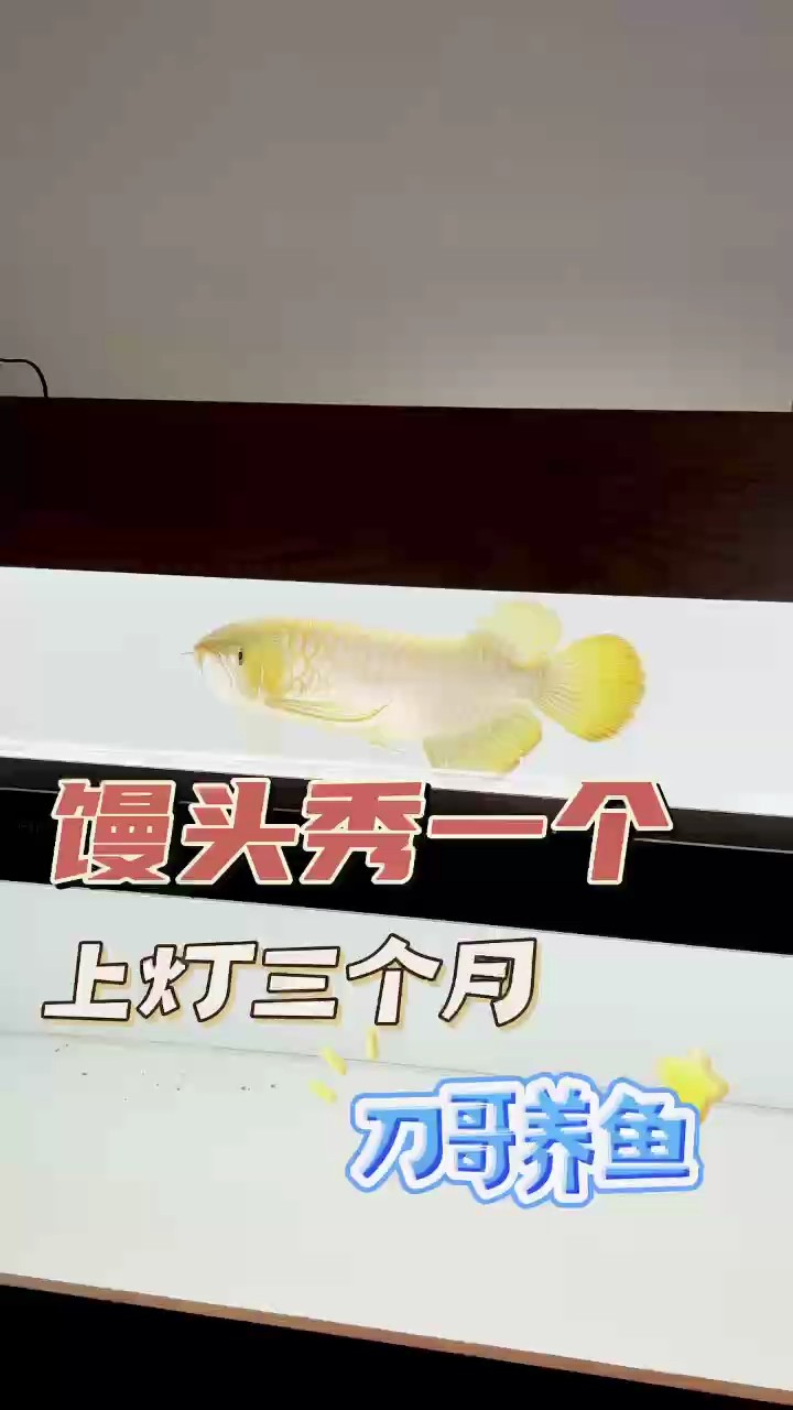為啥在這里發(fā)視頻這個(gè)顏色呢？