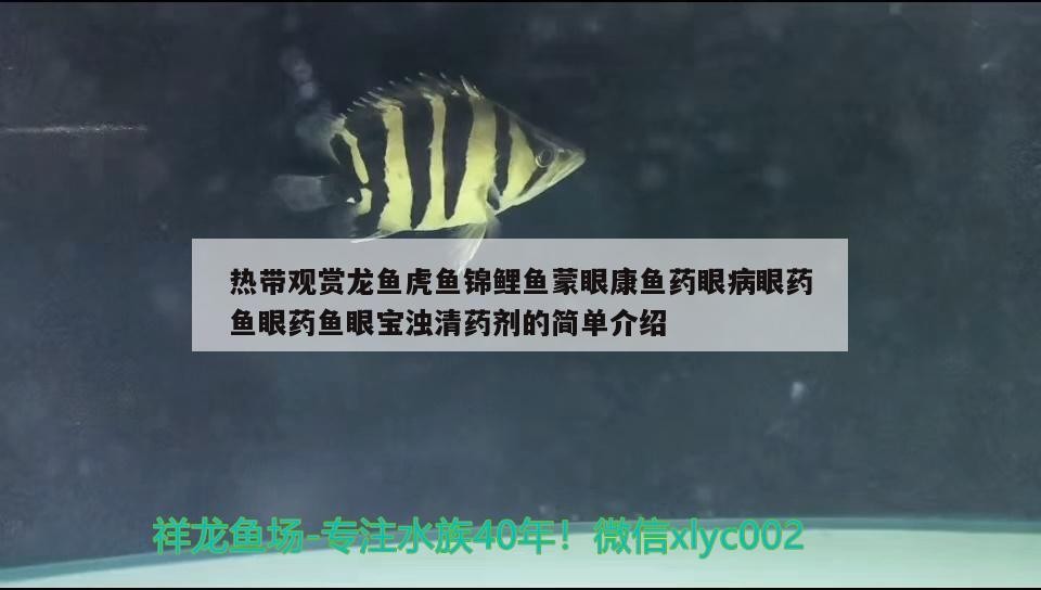 熱帶觀賞龍魚虎魚錦鯉魚蒙眼康魚藥眼病眼藥魚眼藥魚眼寶濁清藥劑的簡單介紹