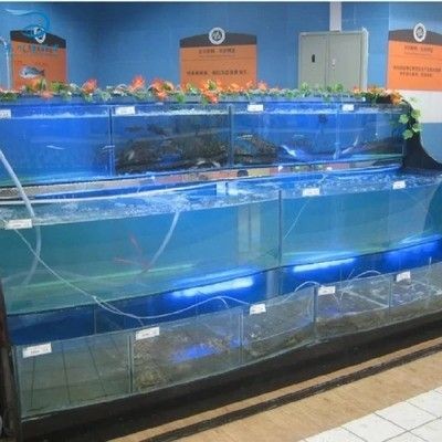 超市海鮮魚缸養魚技術：超市海鮮魚缸養殖技術