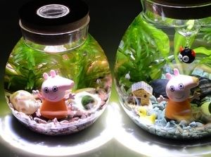 龍魚寄生蟲治療期間需要喂食嗎，龍魚寄生蟲治療期間是否需要喂食，是否需要根據具體情況來定的問題