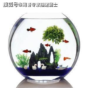 昆明市官渡區青清水族經營部（昆明市官渡區青清水族經營部地址） 昆明市官渡區青清水族經營部（昆明市官渡區青清水族經營部地址） 全國水族館企業名錄 第1張