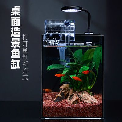 斗魚缸造景好還是不造景好：斗魚缸造景和不造景各有利弊，