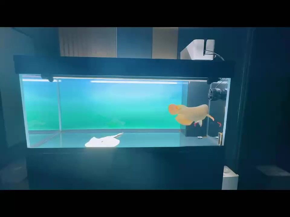 假期就要結束了
