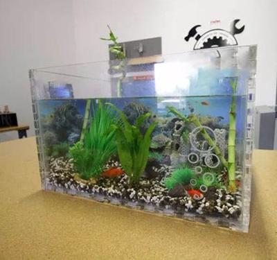 龍魚最建議買的三個牌子