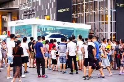 把魚缸的魚朋友圈配文：選擇魚缸的魚朋友圈配文時