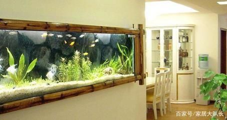 福州市馬尾區福龍軒水族會所（福州市馬尾區福龍軒水族會所電話）
