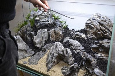 成都魚缸批發市場，成都哪里有賣魚缸的市場