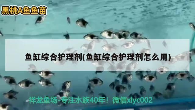 金頭虎魚怎么能養出好狀態(金頭虎魚的養殖方法是什么)