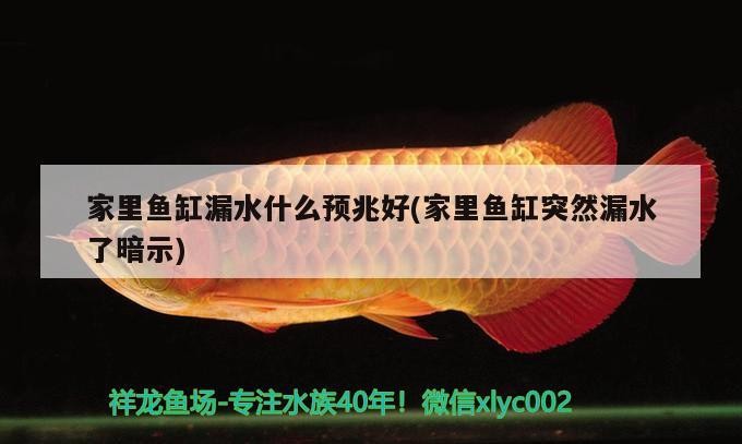 家里魚缸漏水什么預兆好(家里魚缸突然漏水了暗示)