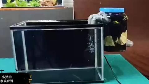如何配置紅龍魚的燈光系統，紅龍魚燈光系統配置