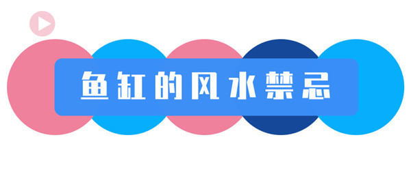 森森泵質(zhì)量怎么樣（森森水泵質(zhì)量怎么樣）