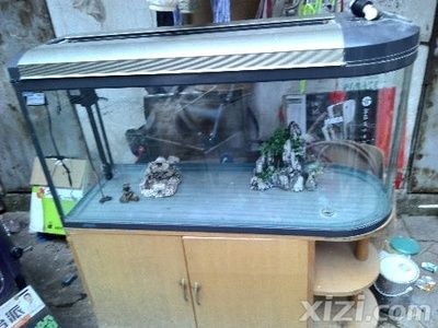 大魚缸漏水一般在哪個地方補水：魚缸修補技術詳解