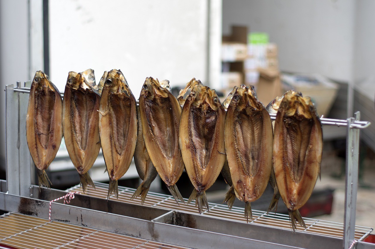中國(guó)四大名貴魚(yú)類（中國(guó)四大名魚(yú)哪幾種）
