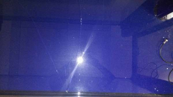 玻璃魚缸裂紋用什么東西粘住：如何修補玻璃魚缸裂縫？