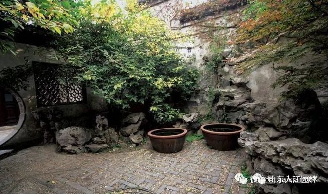 野生和人工豬鼻龜區(qū)別(豬鼻龜都是野生的嗎)