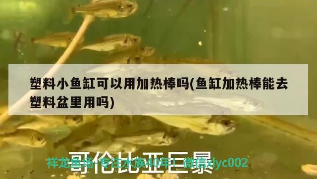 塑料小魚缸可以用加熱棒嗎(魚缸加熱棒能去塑料盆里用嗎)