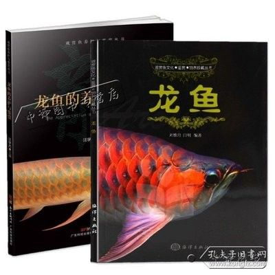 龍魚的養殖方法和技術