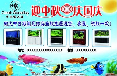 大慶市薩爾圖區圣和水族（大慶市薩爾圖區圣和水族館地址）