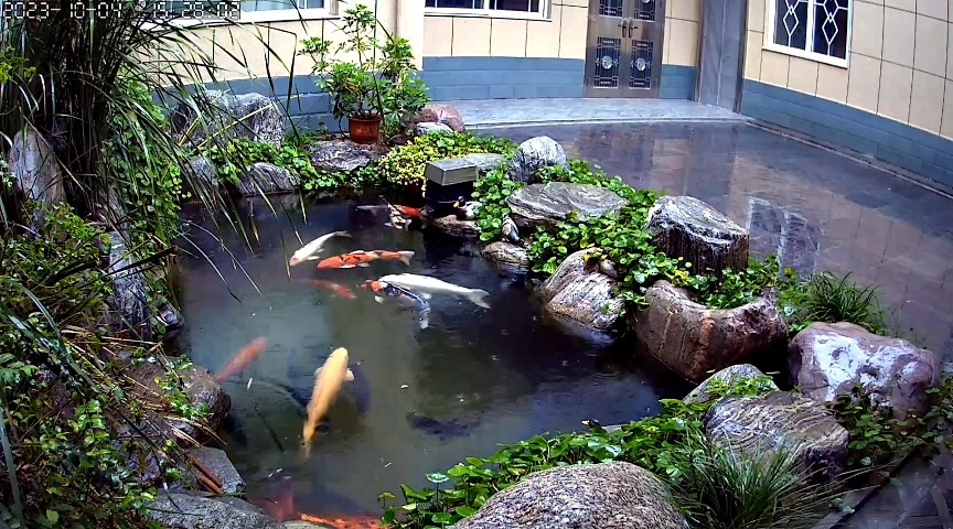 陰雨連綿