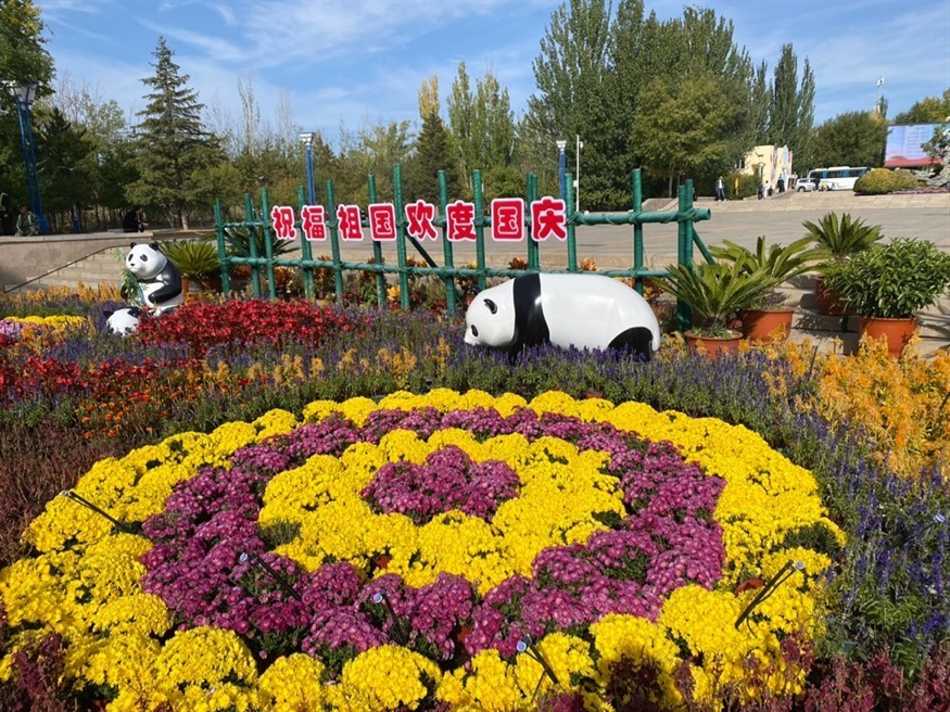 游玩動物園