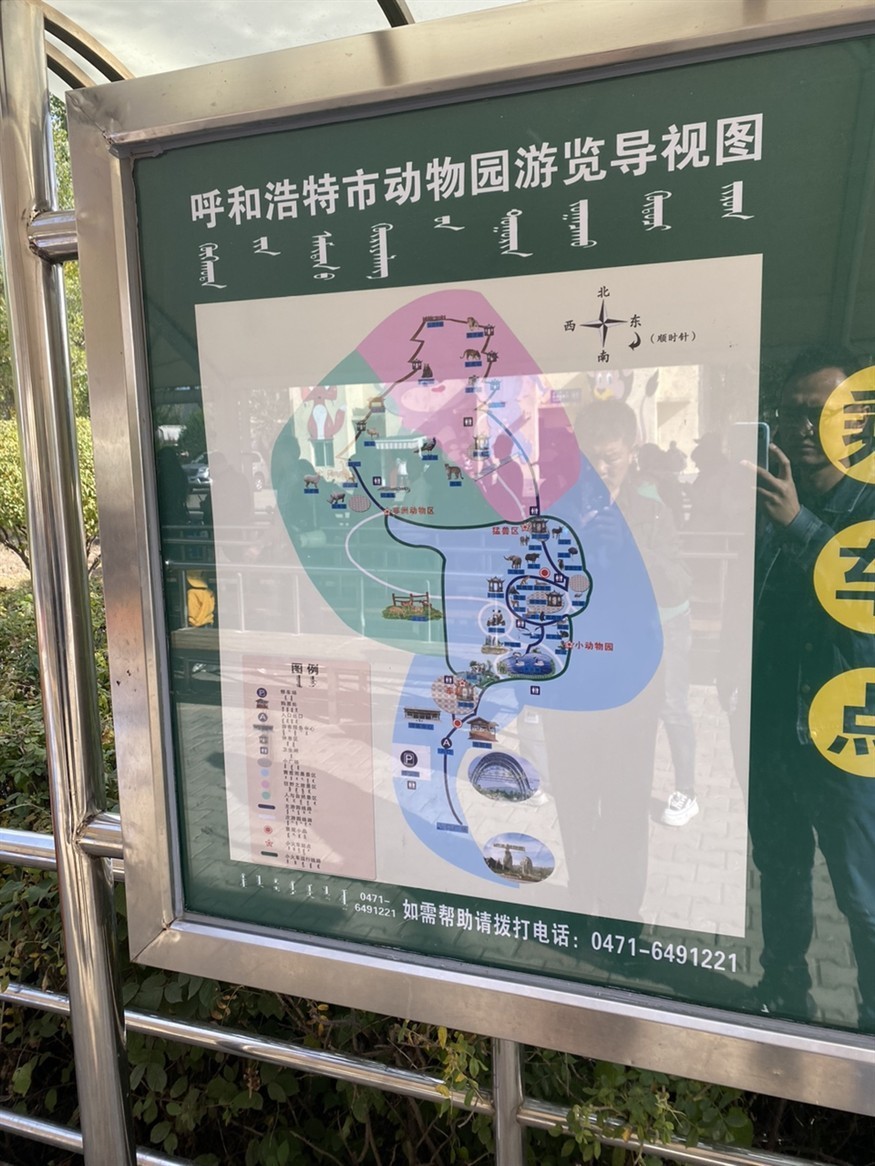 游玩動物園